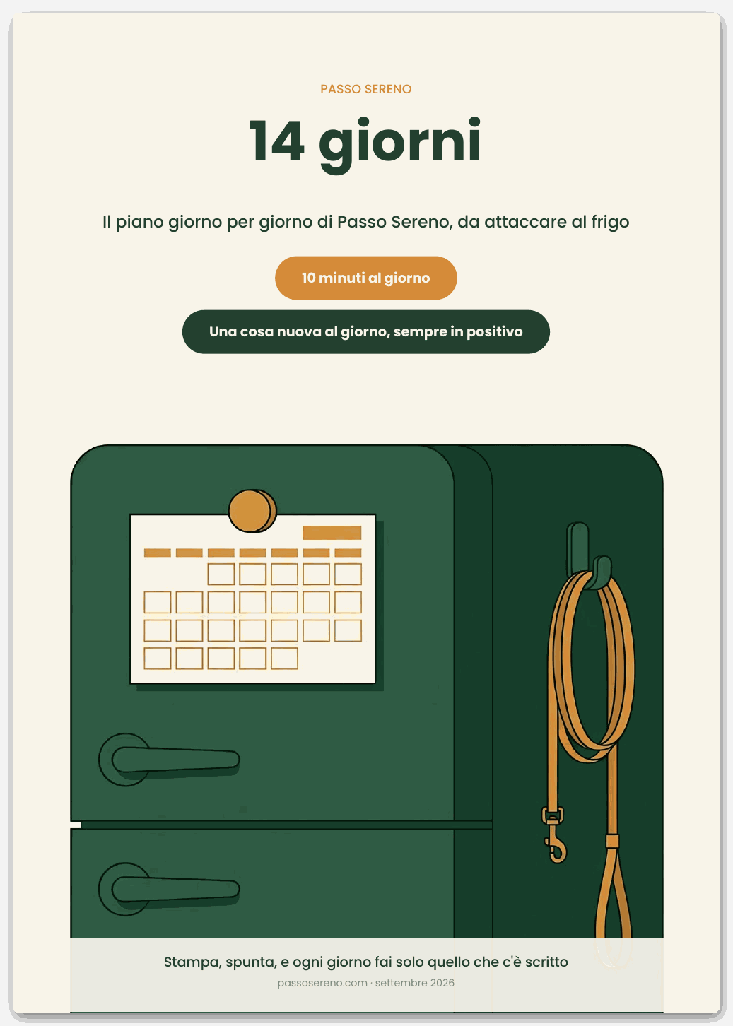 Copertina di Il piano dei 14 giorni